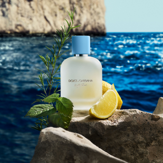 DOLCE & GABBANA LIGHT BLUE POUR HOMME EAU DE TOILETTE 100 ML