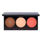 GOLDEN ROSE METALS SCULPTING PALETTE