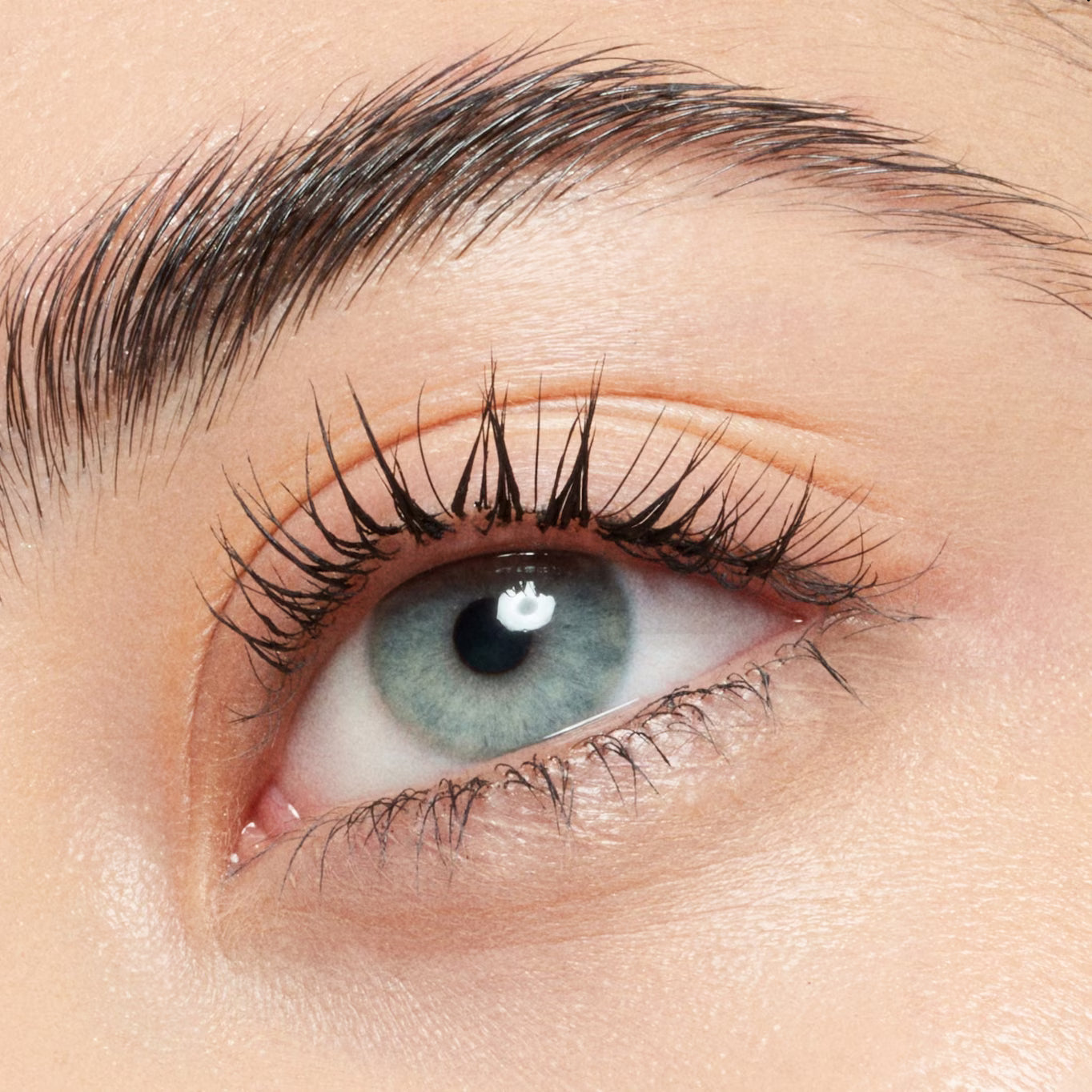 CATRICE LASH BROW DESIGNER SHAPING AND CONDITIONING MASCARA GEL CILS ET SOURCILS 6ML