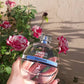 Chants Tenderina De Maison Alhambra Pour Femme - 100ml