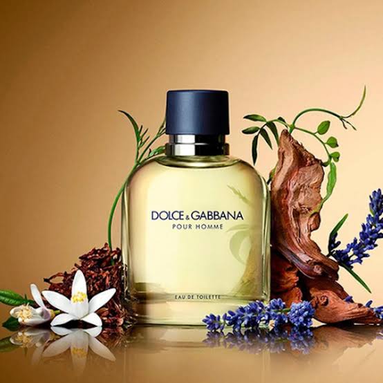 DOLCE & GABBANA POUR HOMME EAU DE TOILETTE 125 ML