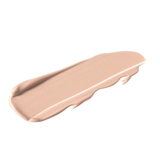 TOPFACE INSTYLE LASTING FINISH CONCEALER
